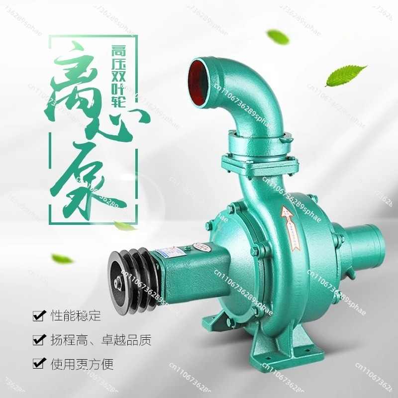 High Pressure High Head Large  - огляд і ціна Diesel Water Pump